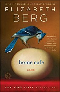Home Safe, book review