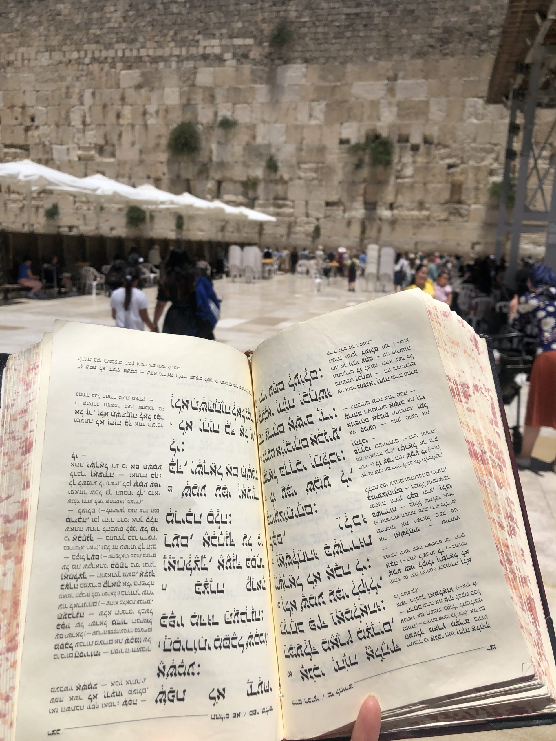 Our Holy Land Trip, Part 2: On Traveling with a Tour + Recs & Resources -  Katherine Scott Jones